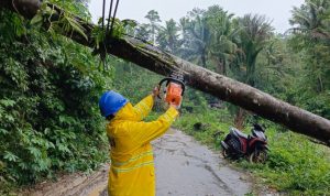 Cuaca Ekstrim Melanda, PLN UID Suluttenggo Sigap Jaga Pasokan Listrik