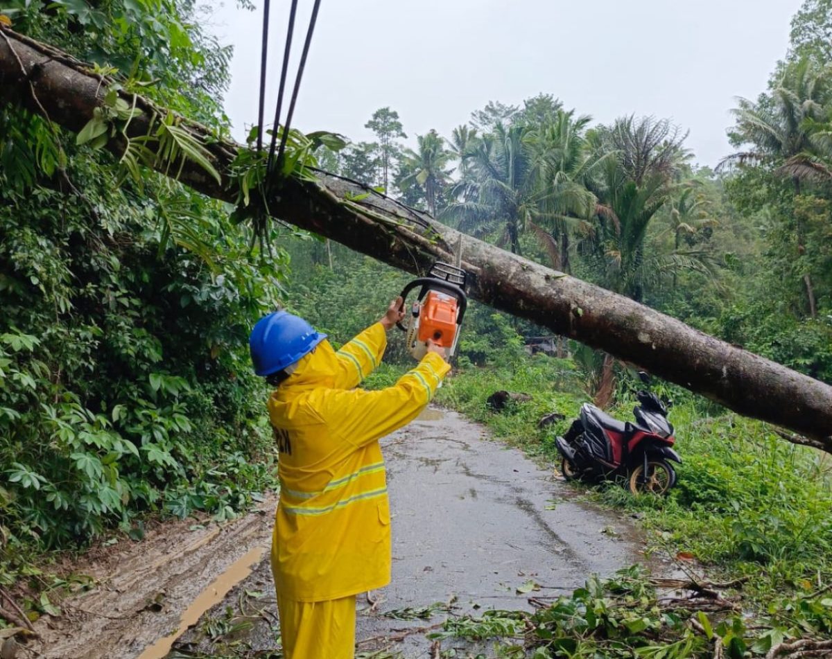 Cuaca Ekstrim Melanda, PLN UID Suluttenggo Sigap Jaga Pasokan Listrik