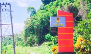 PLN Unit Pelaksana Pelayanan Pelanggan (UP3) Tolitoli terus mengemban misi mendukung pemerintah untuk mencapai target Net Zero Emission (NZE) pada tahun 2060