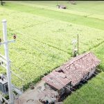 Jaringan tegangan listrik di areal persawahan Desa Sukorejo, Ponorogo, Jawa Timur. PLN menghadirkan program electrifying agriculture yang mendorong petani menggunakan teknologi berbasis listrik dalam proses pertaniannya. Program electrifying agriculture juga sukses meningkatkan produktivitas pelaku usaha di sektor pertanian.