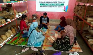 PT PLN (Persero) berhasil memberikan manfaat kepada 10.710 pelaku usaha mikro kecil menengah (UMK), lebih dari 600 ribu masyarakat, dan menyerap 27 ribu lebih tenaga kerja sepanjang 2023.