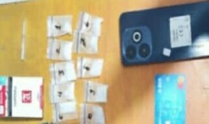 2 warga Kota Manado masing-masing pria berinisial NL (32) dan AS (24) ditangkap Personel Ditresnarkoba Polda Sulut, pada hari Kamis (15/8/2024) pukul 18.30 Wita di Jalan Trans Sulawesi, Desa Bolangat Kecamatan Sang Tombolang, Kabupaten Bolaang Mongondow (Bolmong).