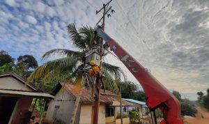 Momen HUT RI, Realisasi PMN ke PLN Merdekakan Listrik Bagi 953 Warga di 7 Desa Pelosok Bengkayang, Kalbar