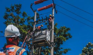 Setor Dividen Rp3,09 Triliun, Kementerian BUMN Dukung PLN Lanjutkan Transformasi Bisnis