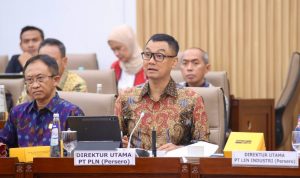 PLN bersama Kementerian Energi dan Sumber Daya Mineral (ESDM) telah menyusun dan menyepakati roadmap program Listrik Desa (Lisdes) untuk mencapai Rasio Desa Berlistrik PLN 100%.