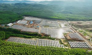 PT PLN Dorong Kolaborasi Global Perkuat Energi Hijau di Tanah Air