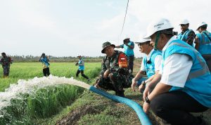 PT PLN Listriki Area Sawah Garapan Kementan-TNI