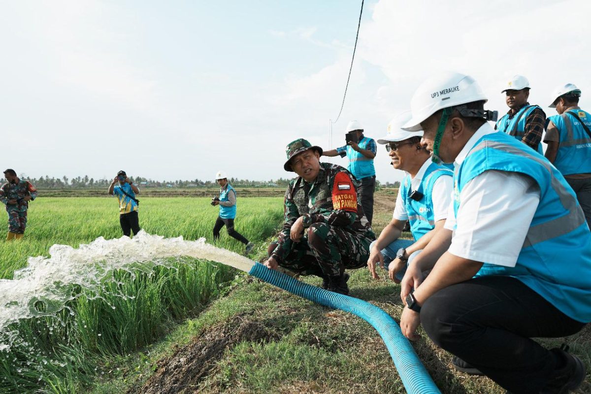PT PLN Listriki Area Sawah Garapan Kementan-TNI