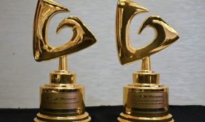 PLN Sabet Dua Penghargaan ESG