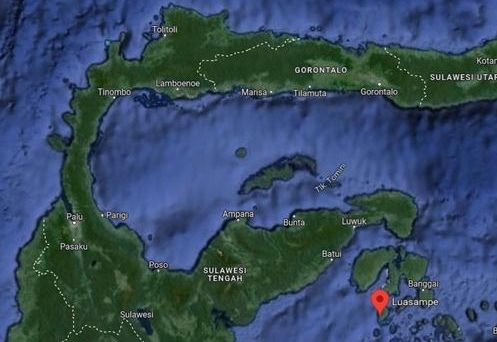 Sulawesi Tengah, dengan luas wilayah 61.606 km² dan 1.572 pulau, merupakan salah satu provinsi terbesar di Indonesia, dan yang terbesar di Pulau Sulawesi.