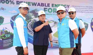 Menteri BUMN Pastikan Peringatan HUT RI di IKN Gunakan Listrik Hijau saat Tinjau PLTS PLN