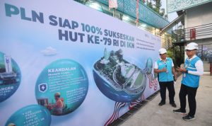 Dirut PLN Cek Langsung Keandalan Infrastruktur Kelistrikan di IKN