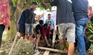 Sebanyak 400 paket daging hewan kurban dibagikan kepada masyarakat saat moment Idul Adha 1445 H oleh Yayasan Baitul Maal (YBM) PLN Unit Induk Distribusi Sumatera Selatan, Jambi, dan Bengkulu (UID S2JB)