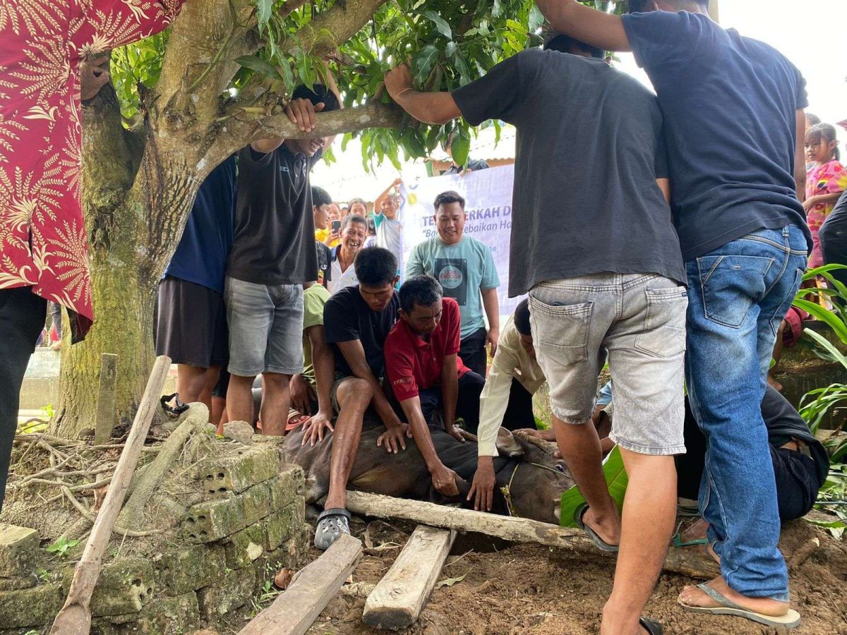 Sebanyak 400 paket daging hewan kurban dibagikan kepada masyarakat saat moment Idul Adha 1445 H oleh Yayasan Baitul Maal (YBM) PLN Unit Induk Distribusi Sumatera Selatan, Jambi, dan Bengkulu (UID S2JB)