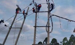 Listrik di Provinsi Lampung, Selasa (4/6/2024), mendadak padam, kondisi ini terjadi sejak pukul 11.00 Wib.