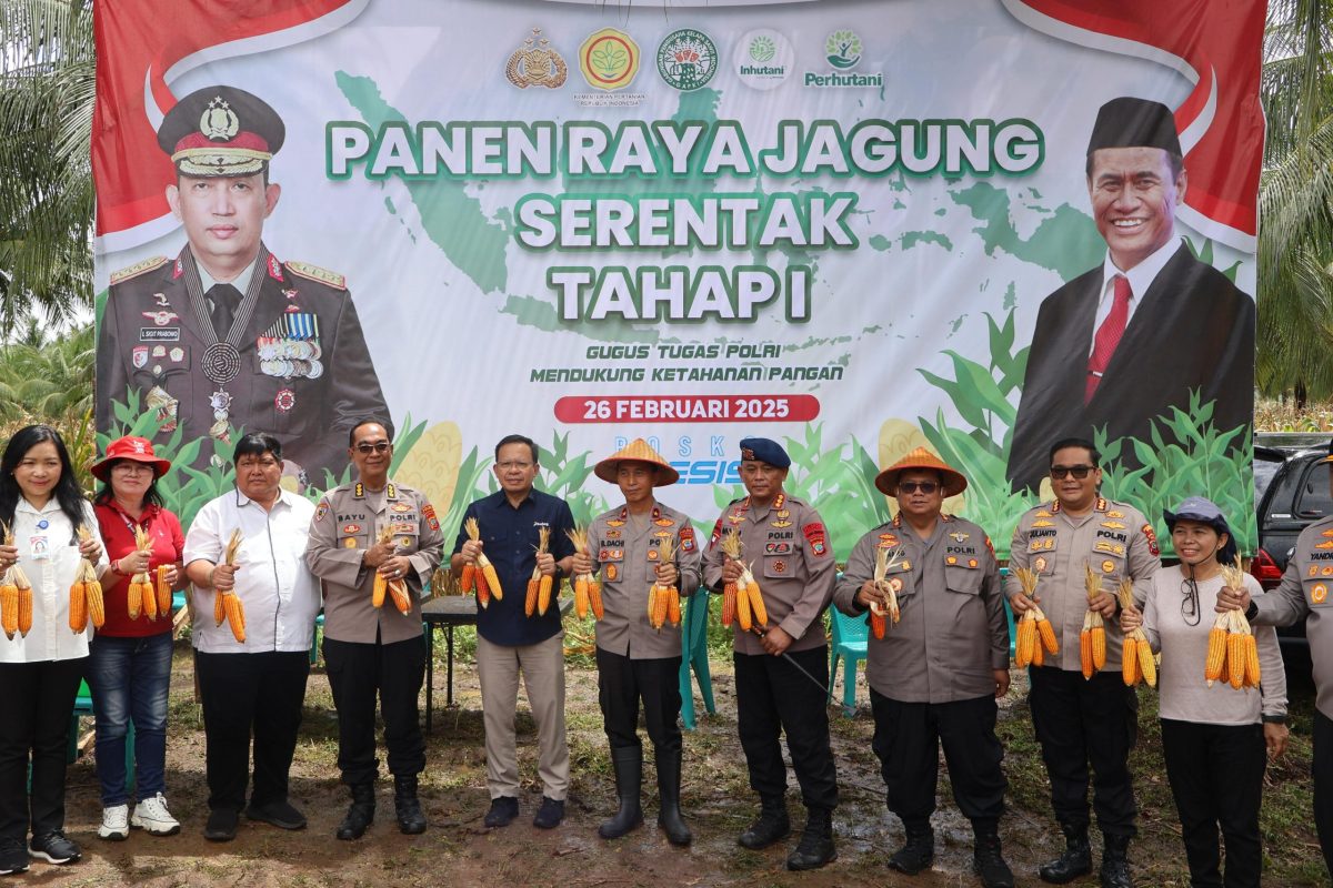Wakapolda Sulawesi Utara (Sulut) Brigjen Pol Bahagia Dachi memimpin panen raya jagung, di area perkebunan Balai Palma, Kelurahan Paniki Dua, Kecamatan Mapanget, Kota Manado, pada Rabu (26/2/2025) pagi.