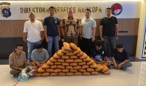 Polda Sumbar Gagalkan Peredaran 47 Kg Ganja di Sumbar