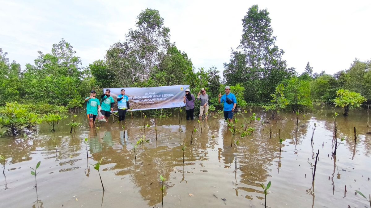 PLN Unit Pelaksana Pelayanan Pelanggan (UP3) Palu melalui PLN Unit Layanan Pelanggan Kolonodale melaksanakan aksi tanam mangrove di pesisir Teluk Tomori, tepatnya di Desa Matube, Morowali Utara, Selasa (10/06).