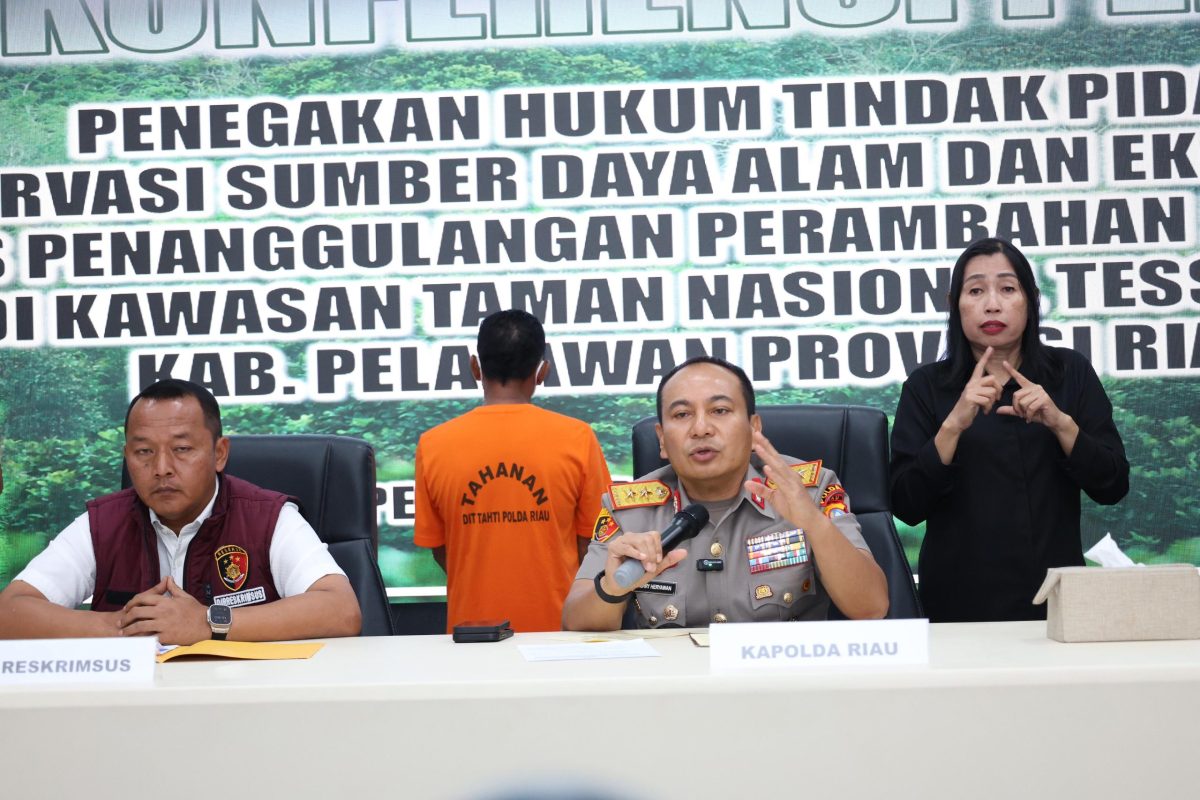 Polda Riau menggelar Konferensi Pers terkait Penangkapan Penjual Lahan Kawasan Hutan Taman Nasional Tesso Nilo (TNTN) yang digelar di Gedung Media Center Polda Riau, Senin (23 Juni 2025).