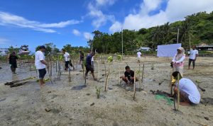 PLN (Persero) Unit Pelaksana Pelayanan Pelanggan (UP3) Gorontalo melaksanakan gerakan penanaman 1.000 bibit pohon mangrove di wilayah pesisir Pantai Botubolu’o, Kecamatan Biluhu, Kabupaten Gorontalo, Sabtu (14/06).