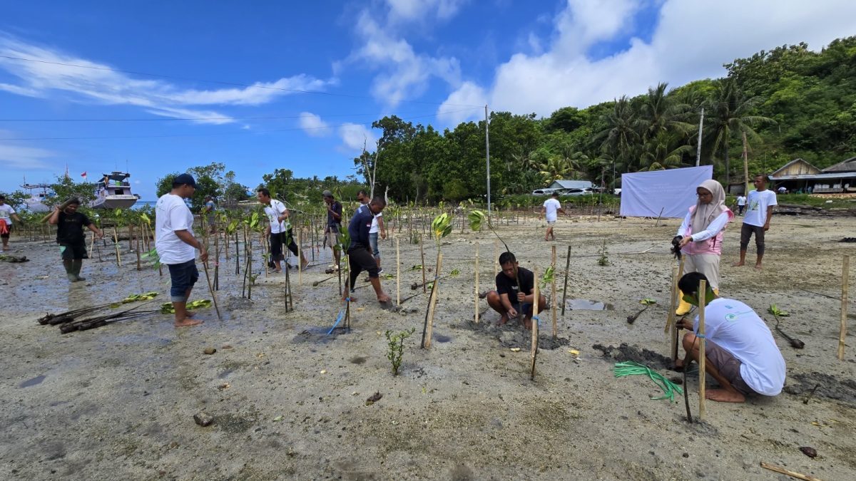 PLN (Persero) Unit Pelaksana Pelayanan Pelanggan (UP3) Gorontalo melaksanakan gerakan penanaman 1.000 bibit pohon mangrove di wilayah pesisir Pantai Botubolu’o, Kecamatan Biluhu, Kabupaten Gorontalo, Sabtu (14/06).