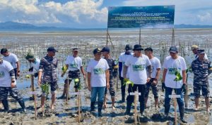 PLN UP3 Tolitoli Kolaborasi Tanam 5.000 Pohon Mangrove